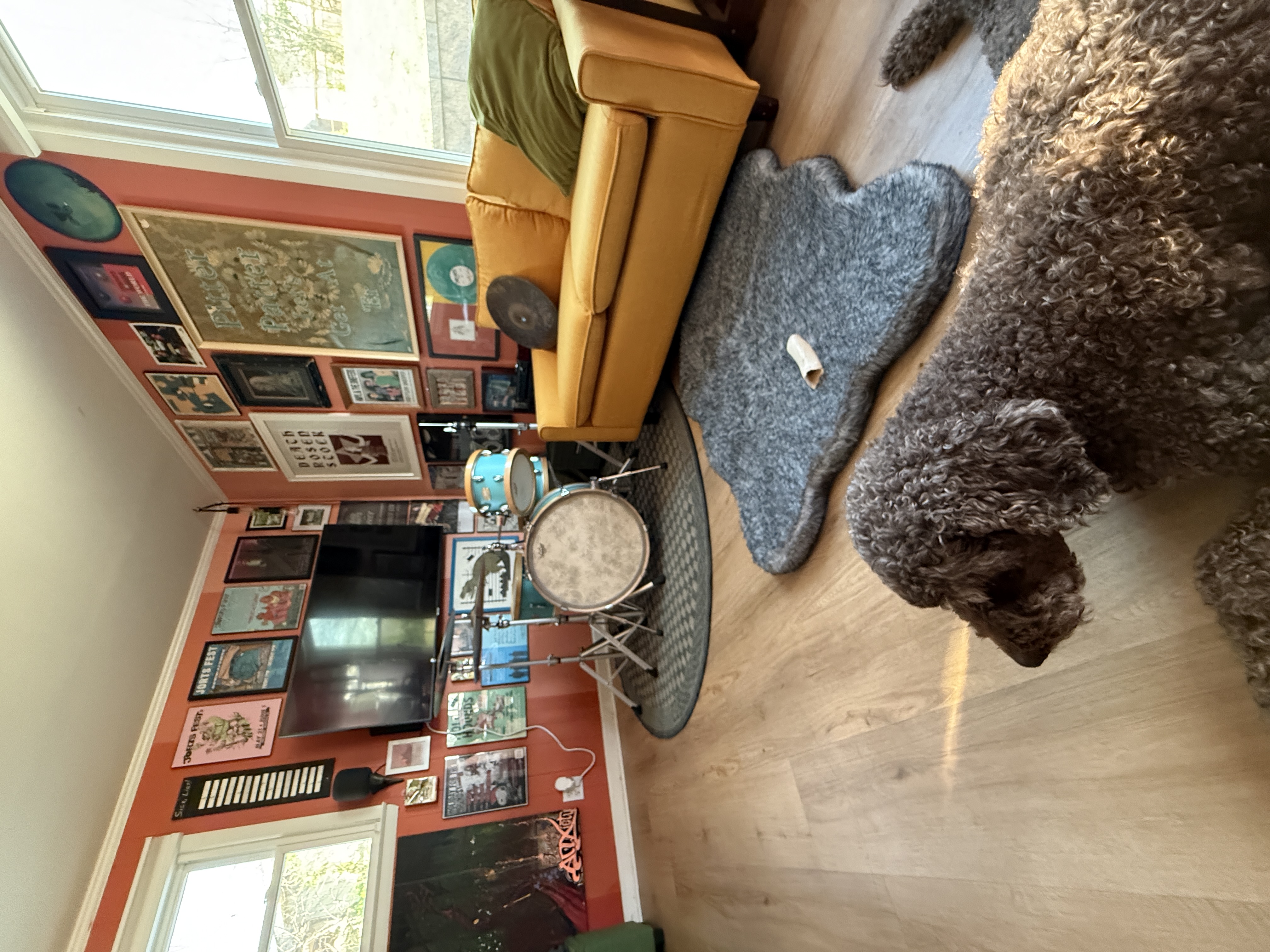 Joe's office, bright room with posters covering every wall